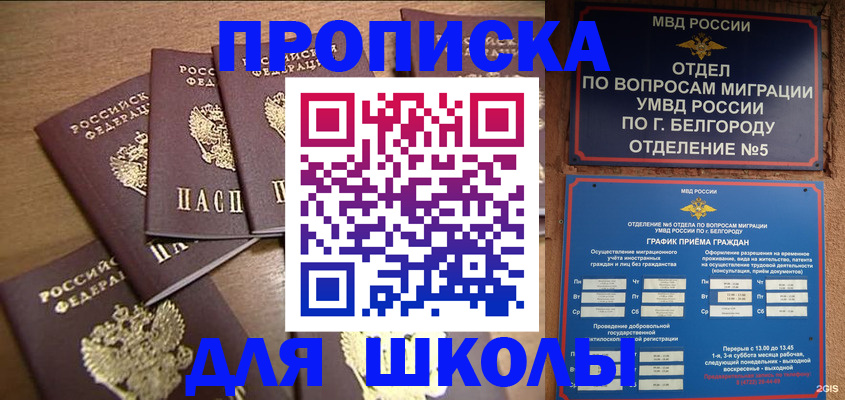 прописка гарантия в Михайловке